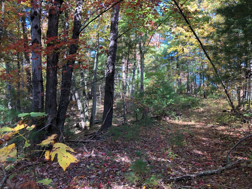 Photo #31: 410 Seay Hollow Road