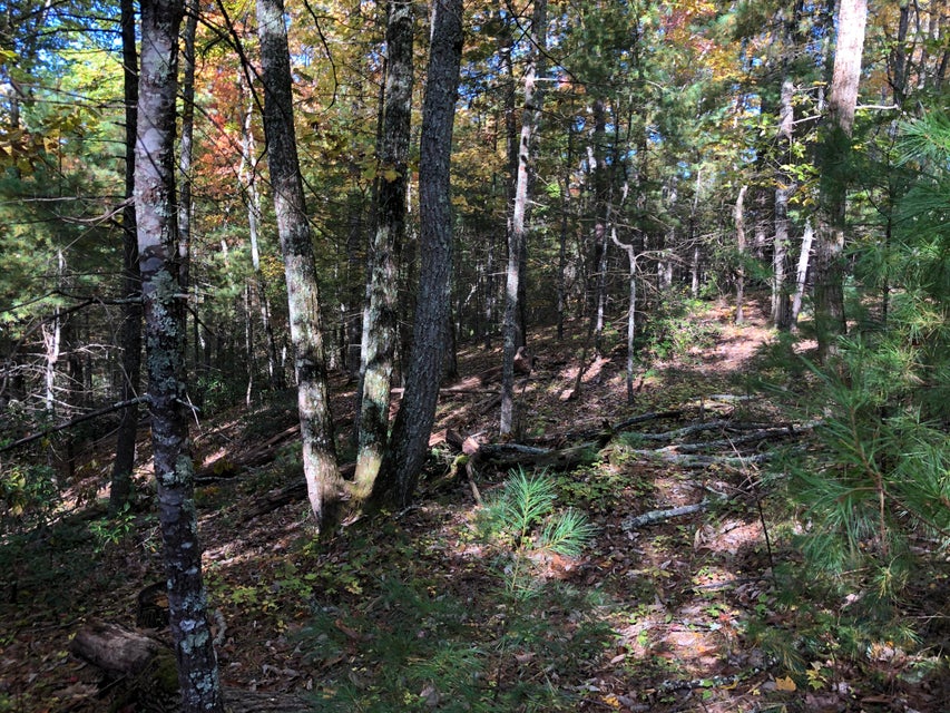 Photo #32: 410 Seay Hollow Road