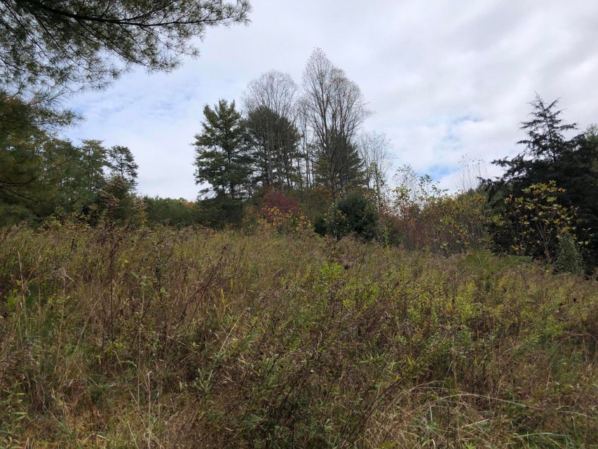 Photo #34: 410 Seay Hollow Road