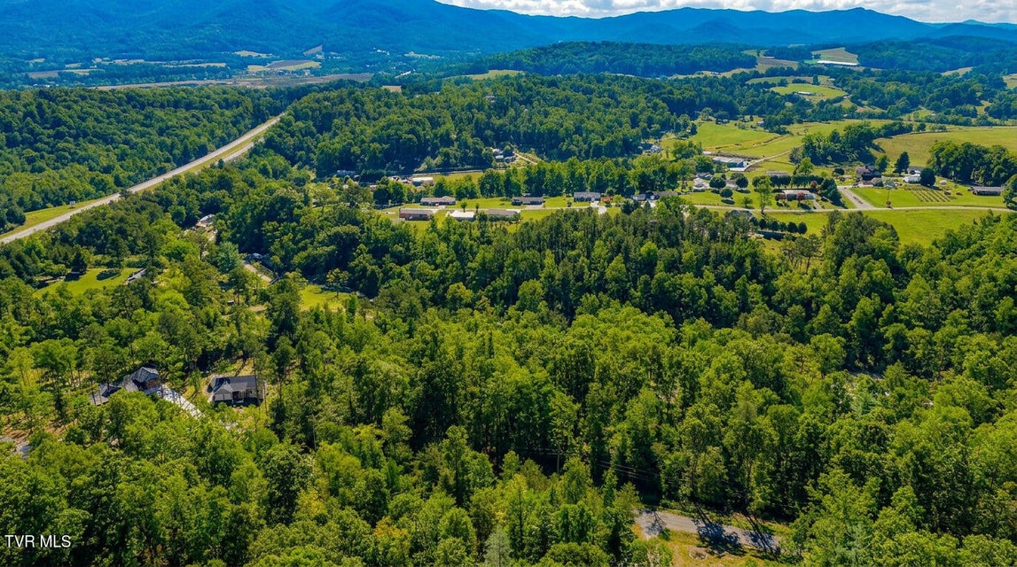 Photo #3: 1413 Timber Trail 