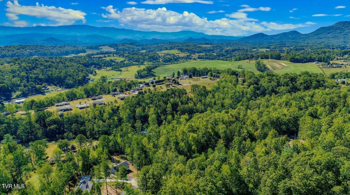 Photo #4: 1413 Timber Trail 