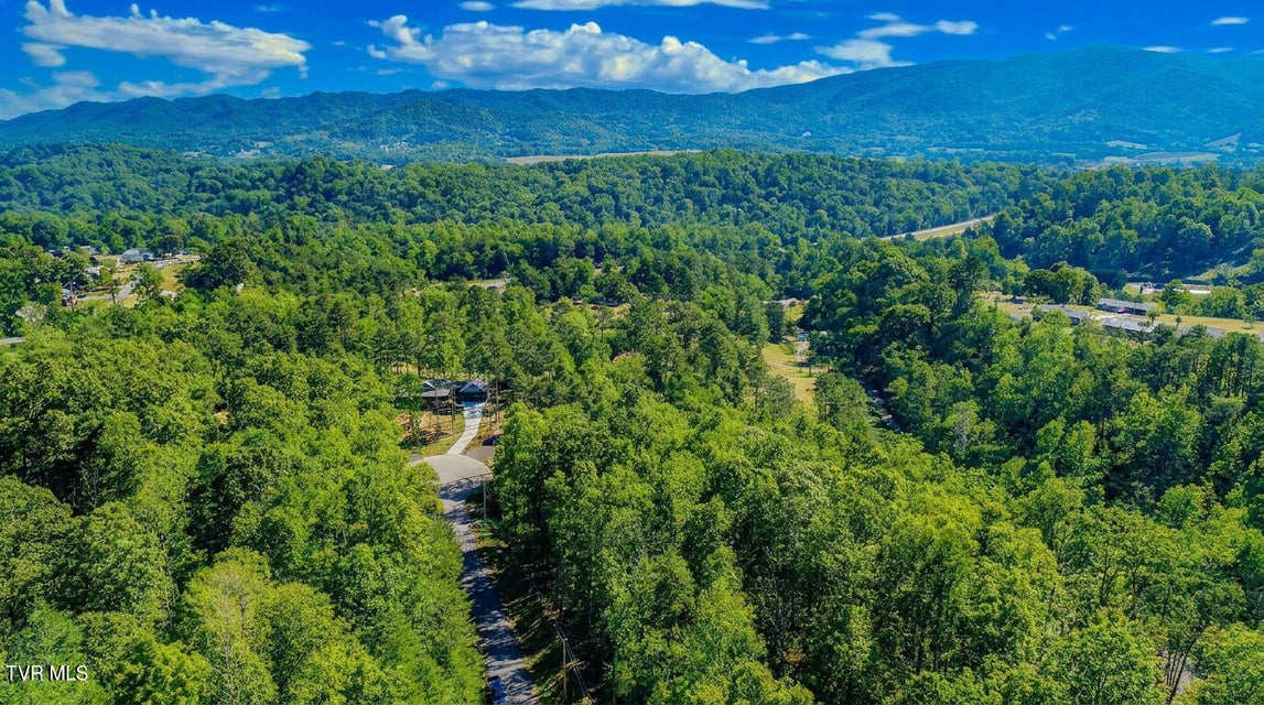 Photo #6: 1413 Timber Trail 