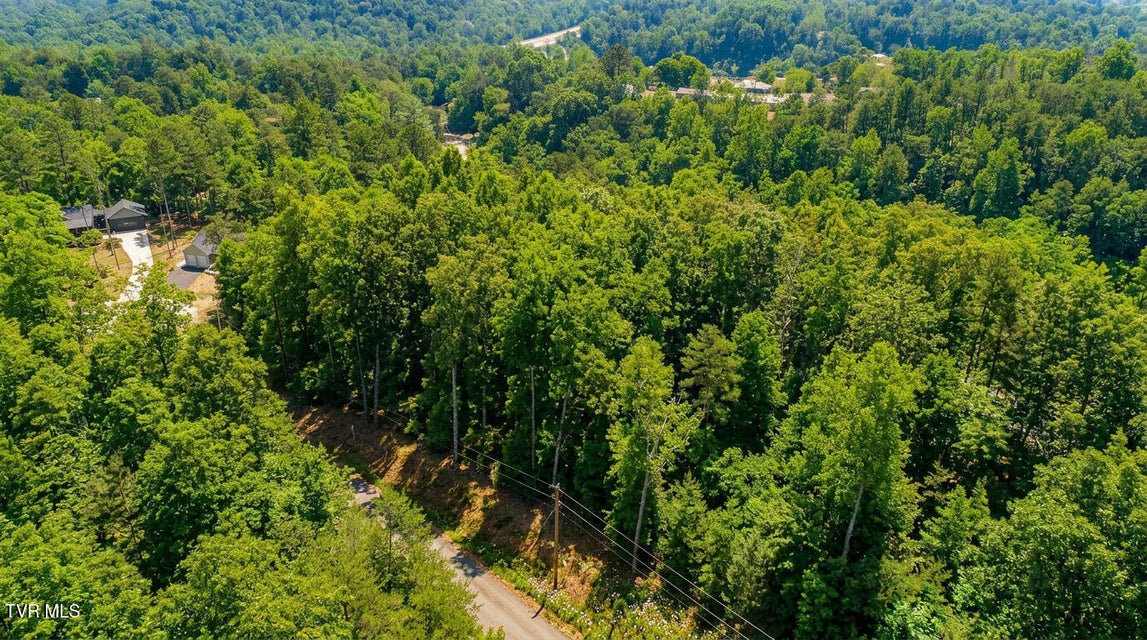 Photo #8: 1413 Timber Trail 