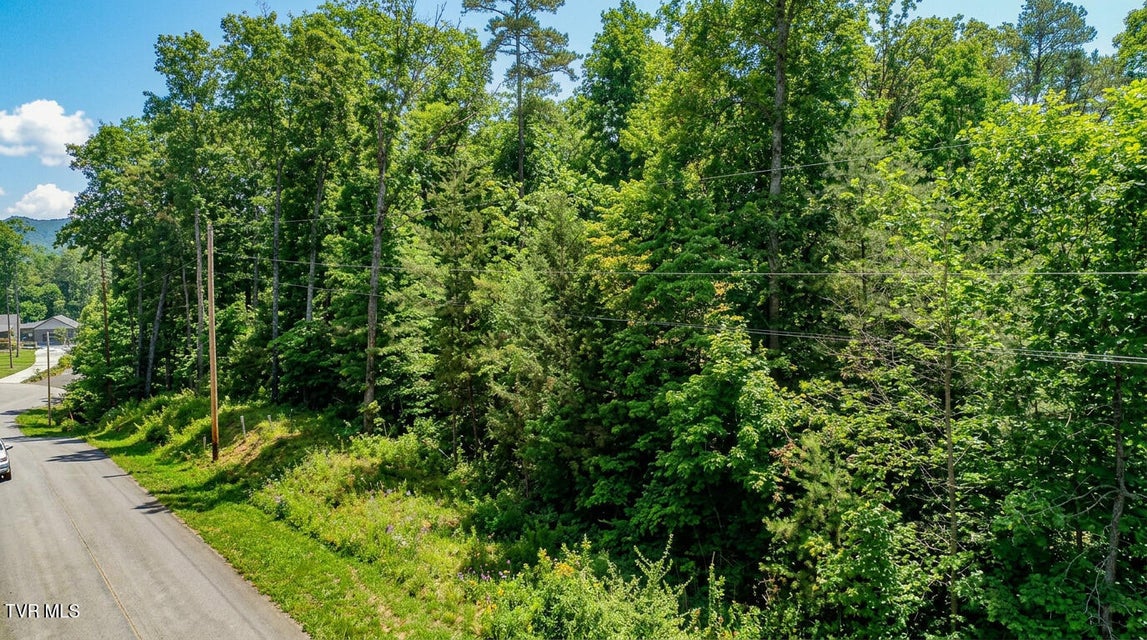 Photo #10: 1413 Timber Trail 