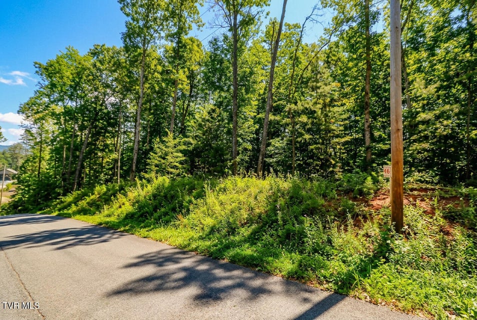 Photo #12: 1413 Timber Trail 