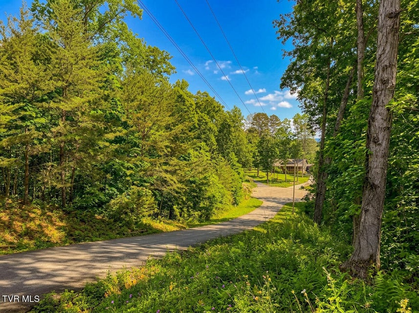 Photo #13: 1413 Timber Trail 