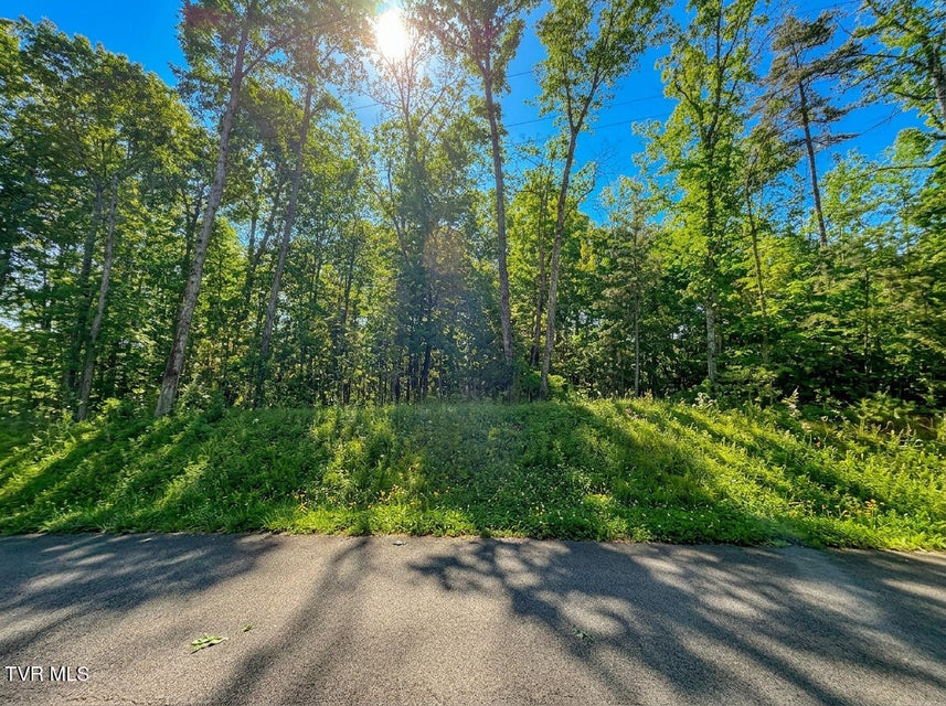 Photo #14: 1413 Timber Trail 