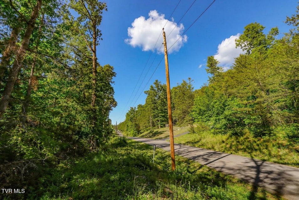 Photo #15: 1413 Timber Trail 