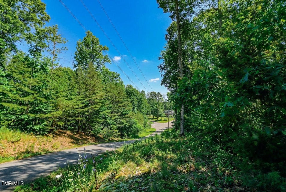 Photo #16: 1413 Timber Trail 