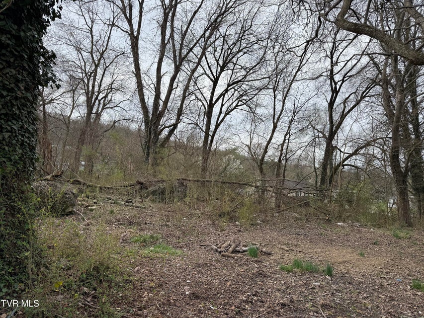 Photo #2: 5749 Concord Street