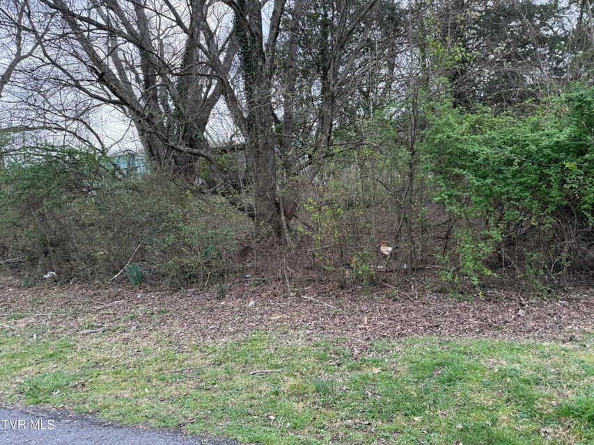 Photo #6: 5749 Concord Street