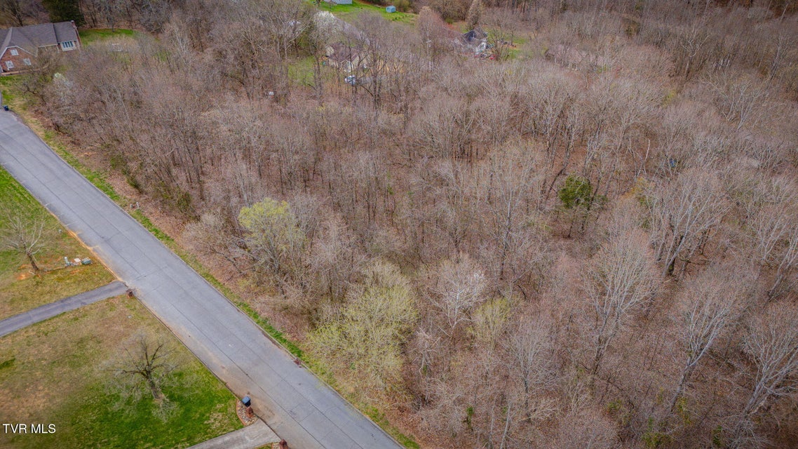 Photo #8: Lot 7 Lake Forest Drive