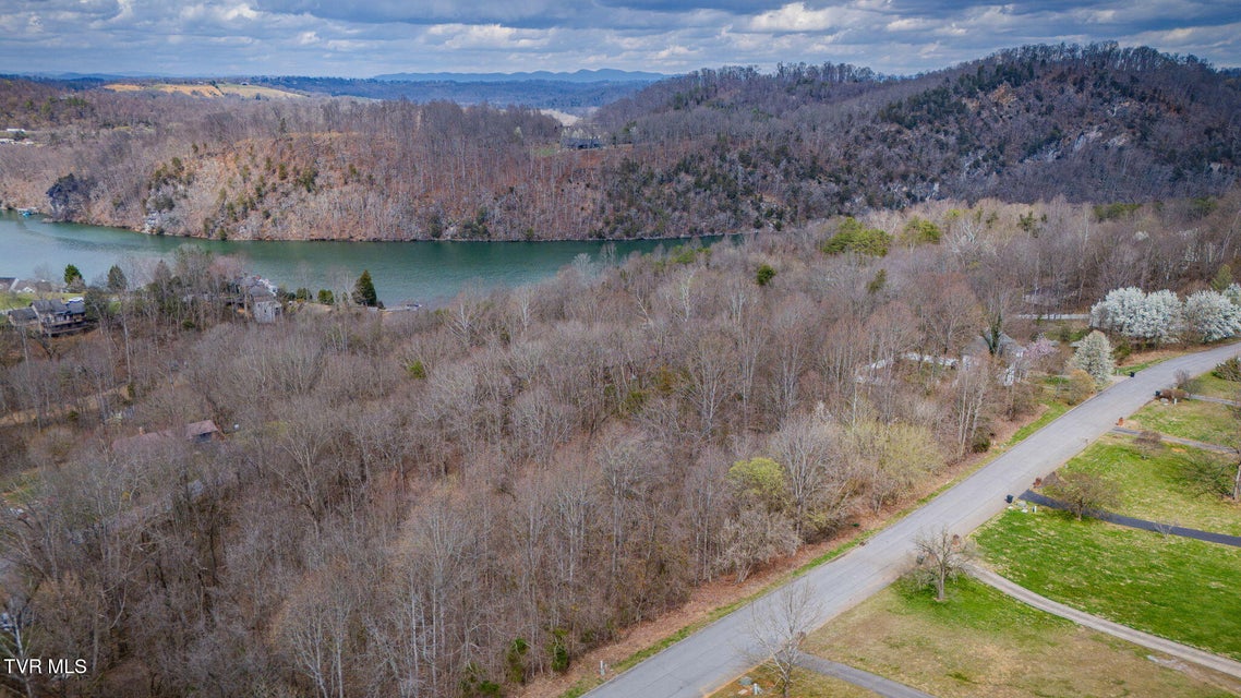 Photo #10: Lot 7 Lake Forest Drive