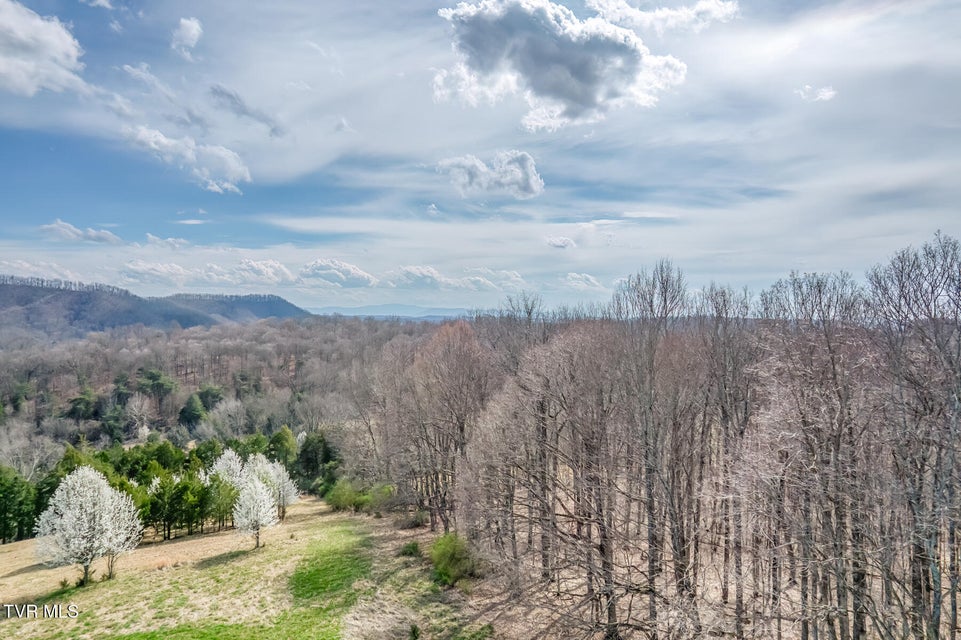 Photo #13: 756 Highway 75 