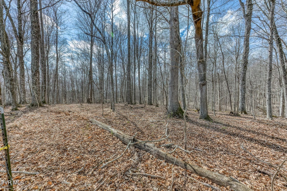 Photo #22: 756 Highway 75 