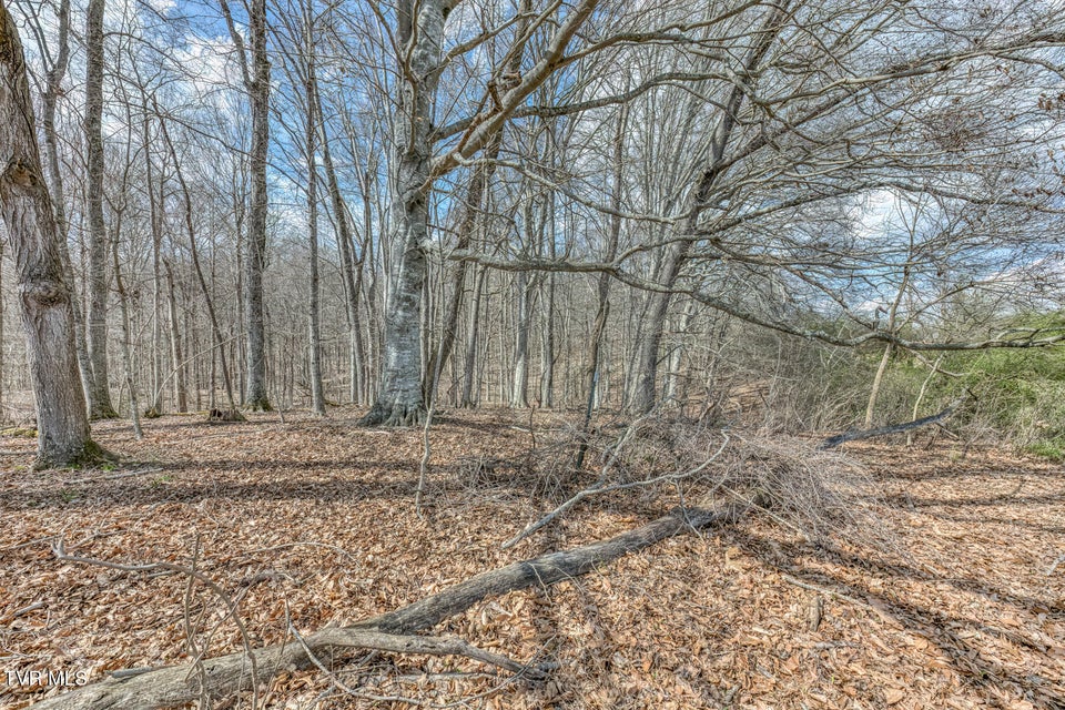 Photo #23: 756 Highway 75 