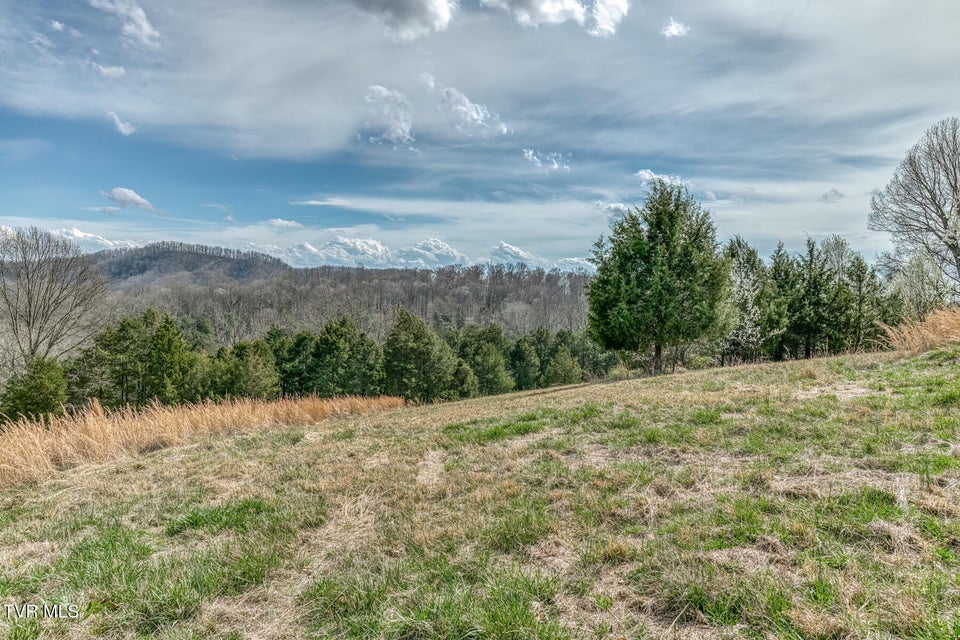 Photo #26: 756 Highway 75 