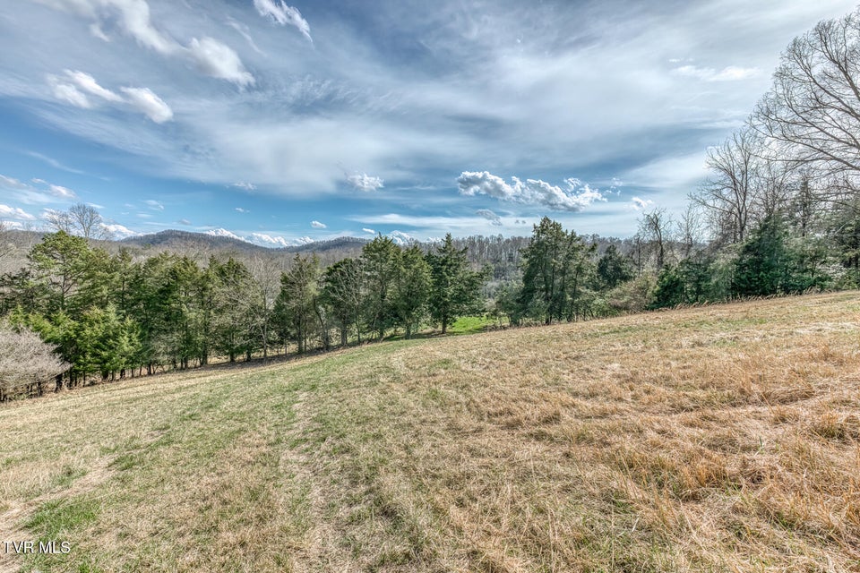 Photo #29: 756 Highway 75 