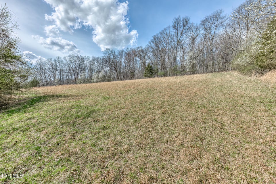 Photo #39: 756 Highway 75 