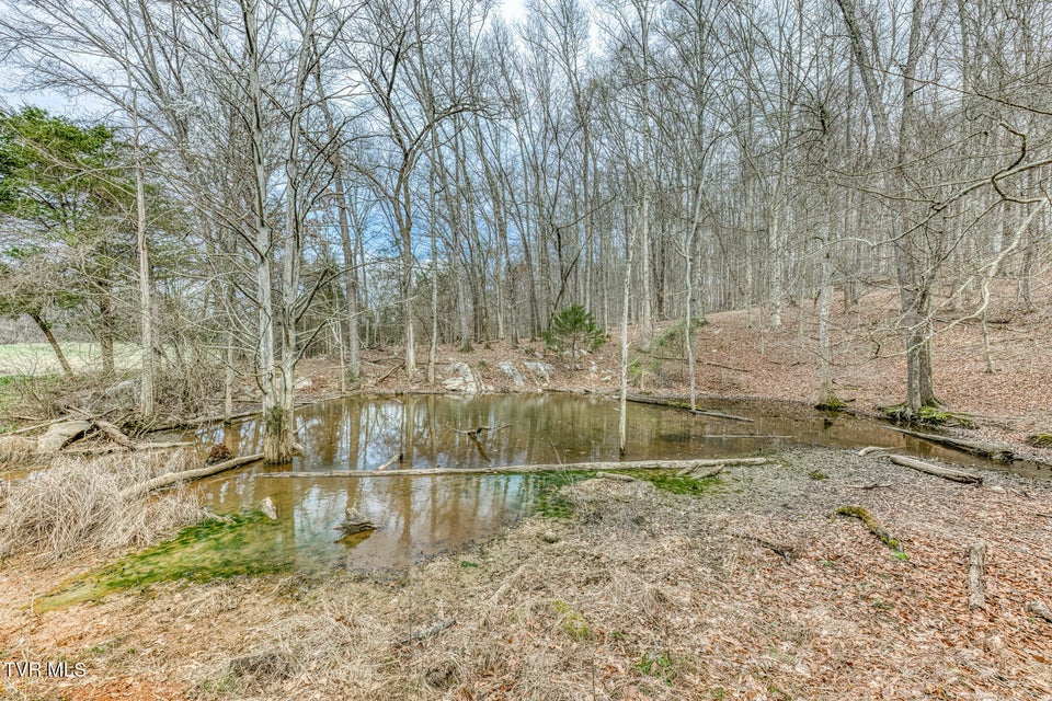 Photo #42: 756 Highway 75 