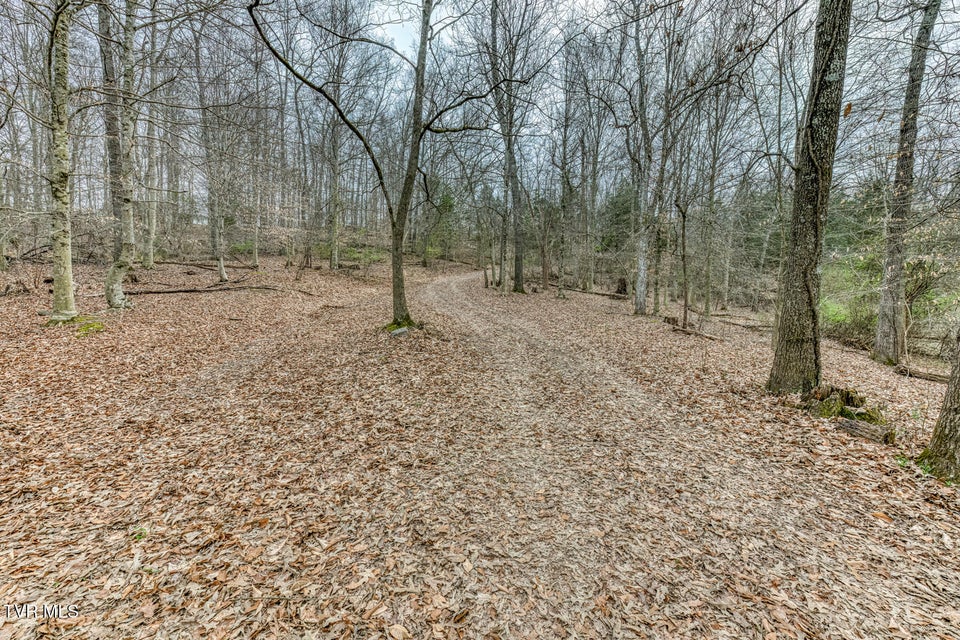 Photo #44: 756 Highway 75 