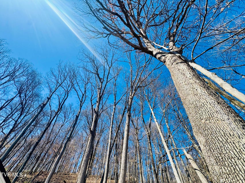 Photo #64: 2 Rovan Court