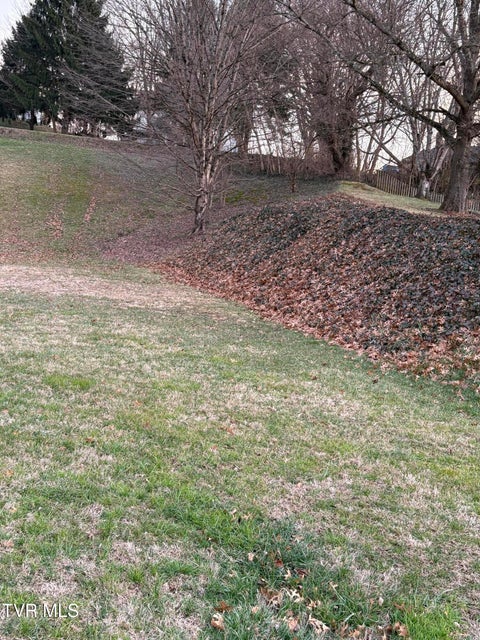 Photo #4: 112 Boone Street