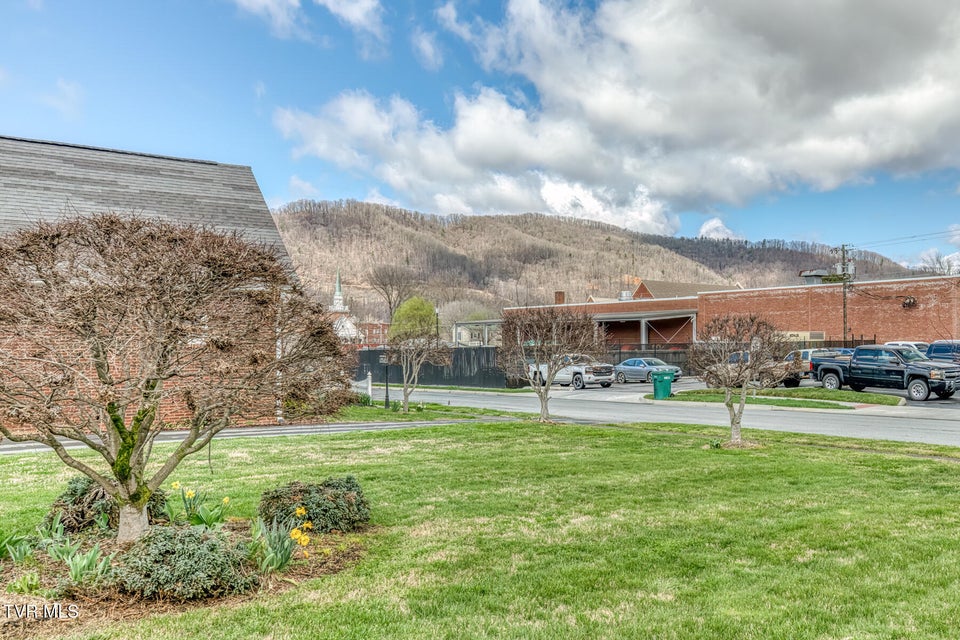 Photo #33: 345 Elm Avenue