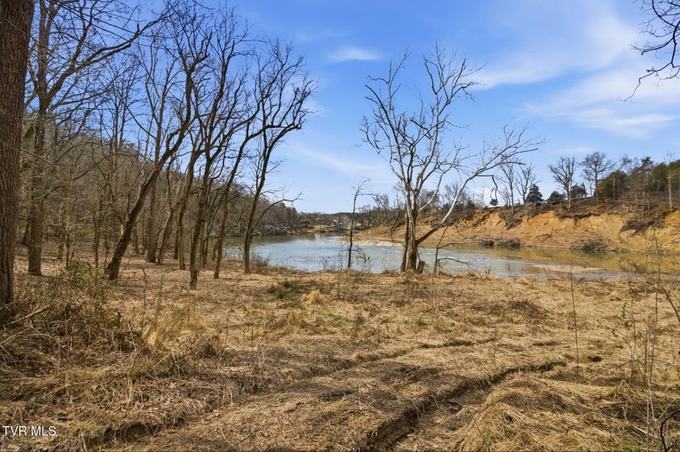 Photo #40: 411 Saint James Road