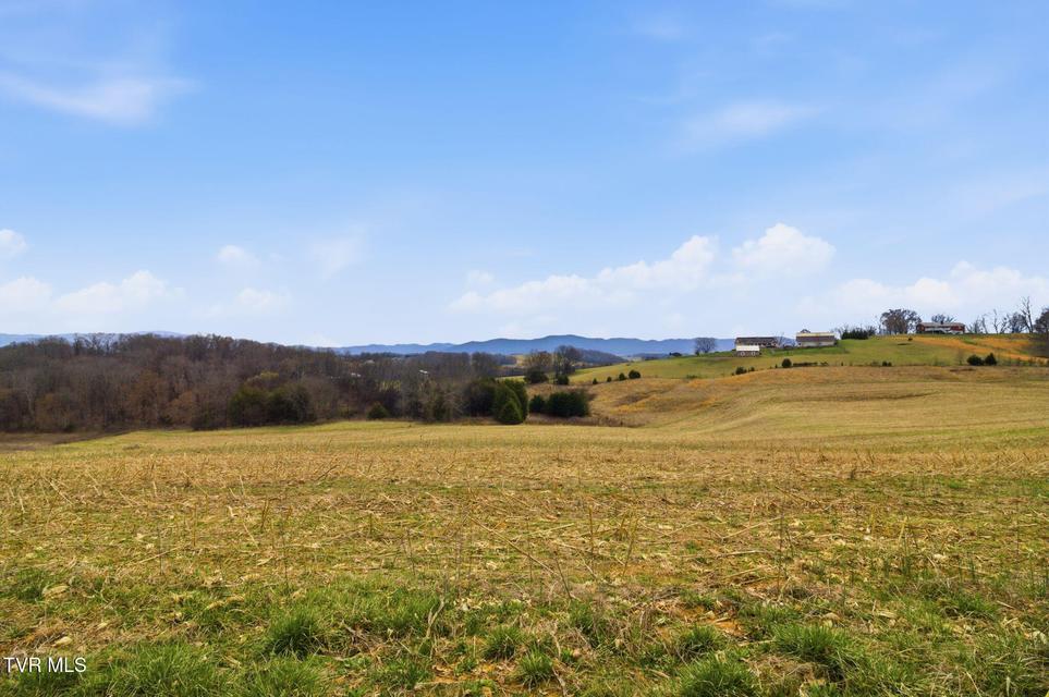 Photo #41: 411 Saint James Road