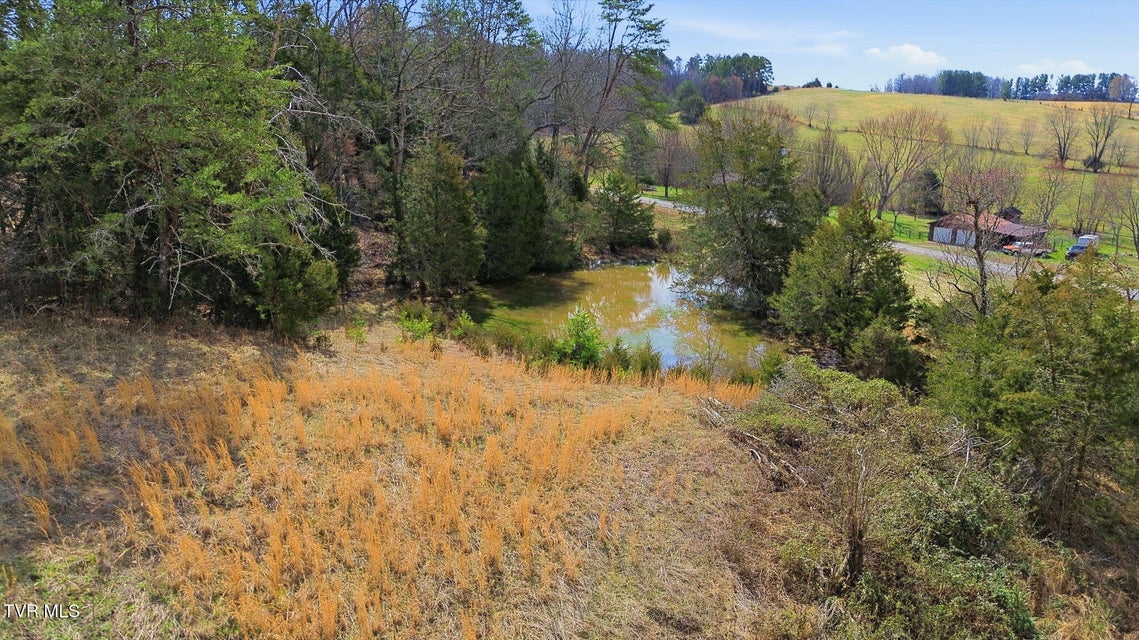 Photo #62: 411 Saint James Road