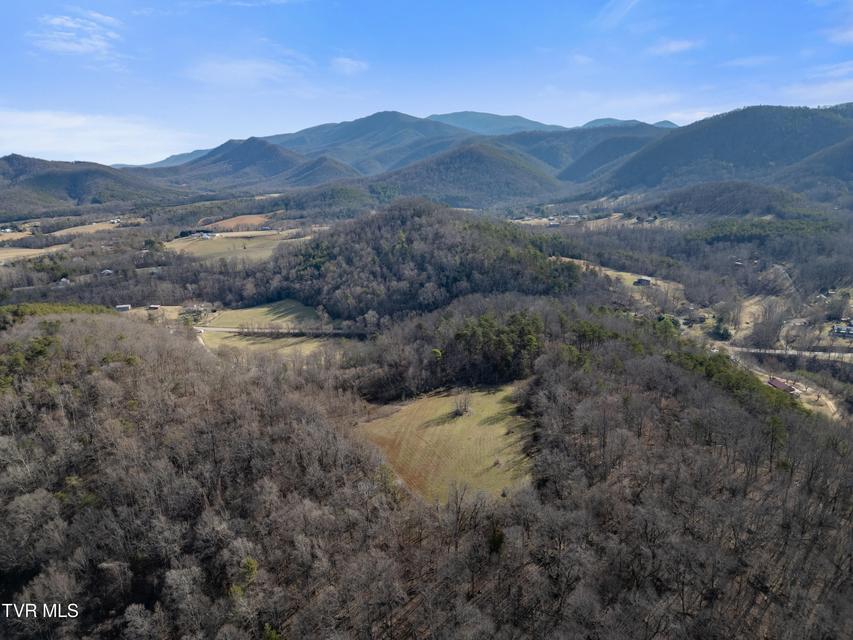 Photo #7: Tbd Timber Lane