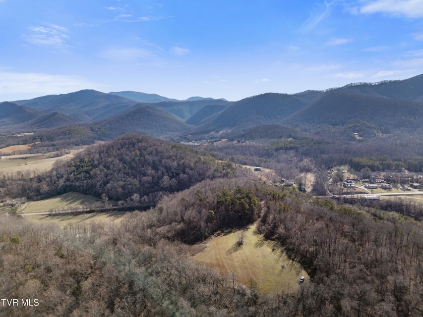 Photo #6: Tbd Timber Lane