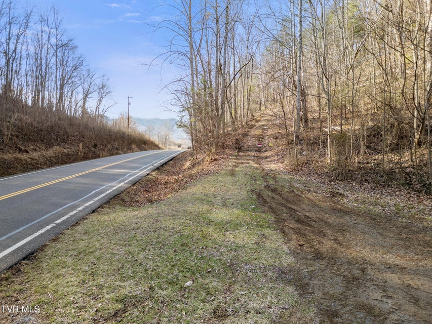 Photo #4: Tbd Timber Lane