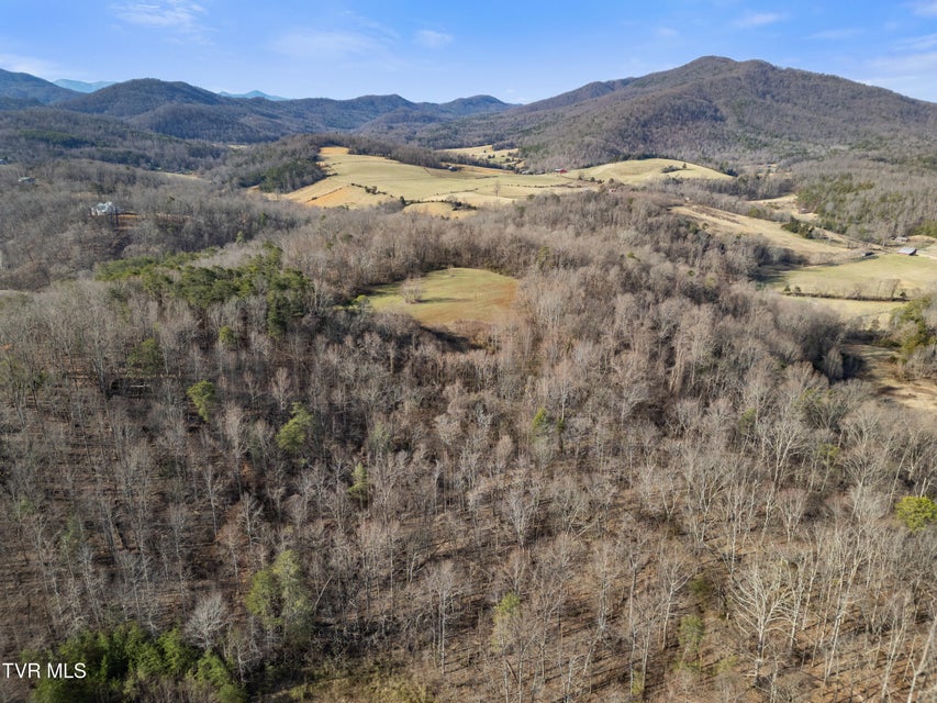 Photo #10: Tbd Timber Lane