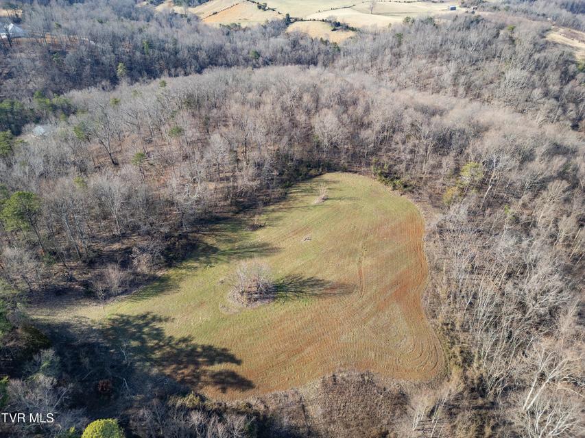 Photo #11: Tbd Timber Lane