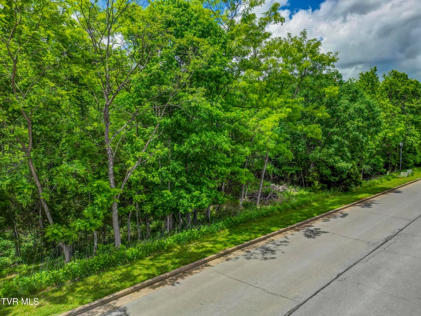 Photo #16: 612 Harbor Point Drive