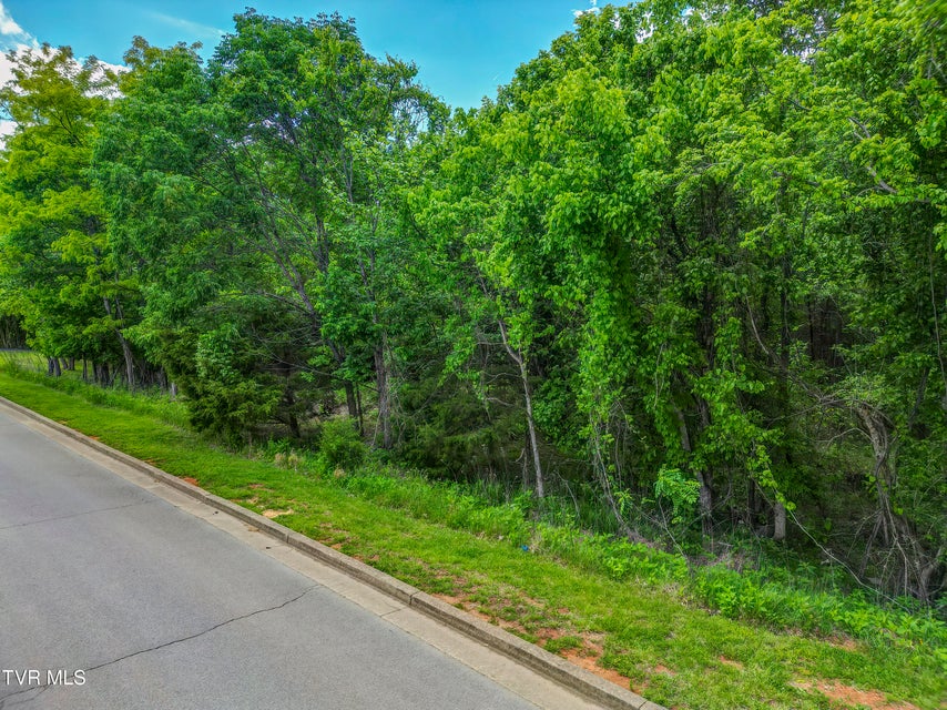 Photo #24: 612 Harbor Point Drive