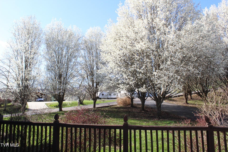 Photo #44: 158 Dryden Heights Drive