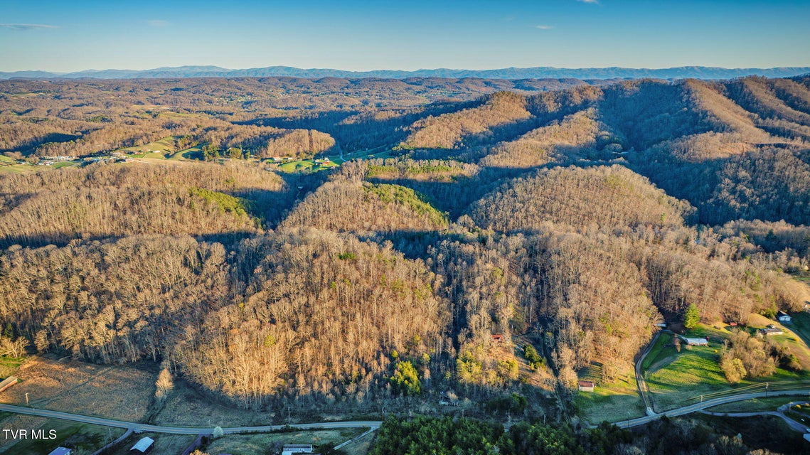 Photo #4: 000 Lone Star Road