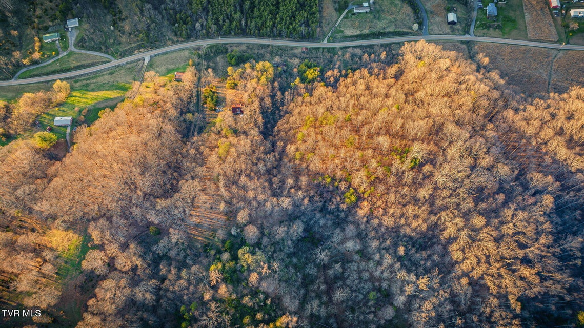Photo #6: 000 Lone Star Road