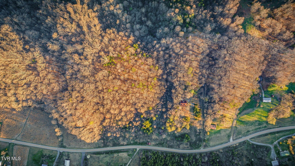 Photo #7: 000 Lone Star Road