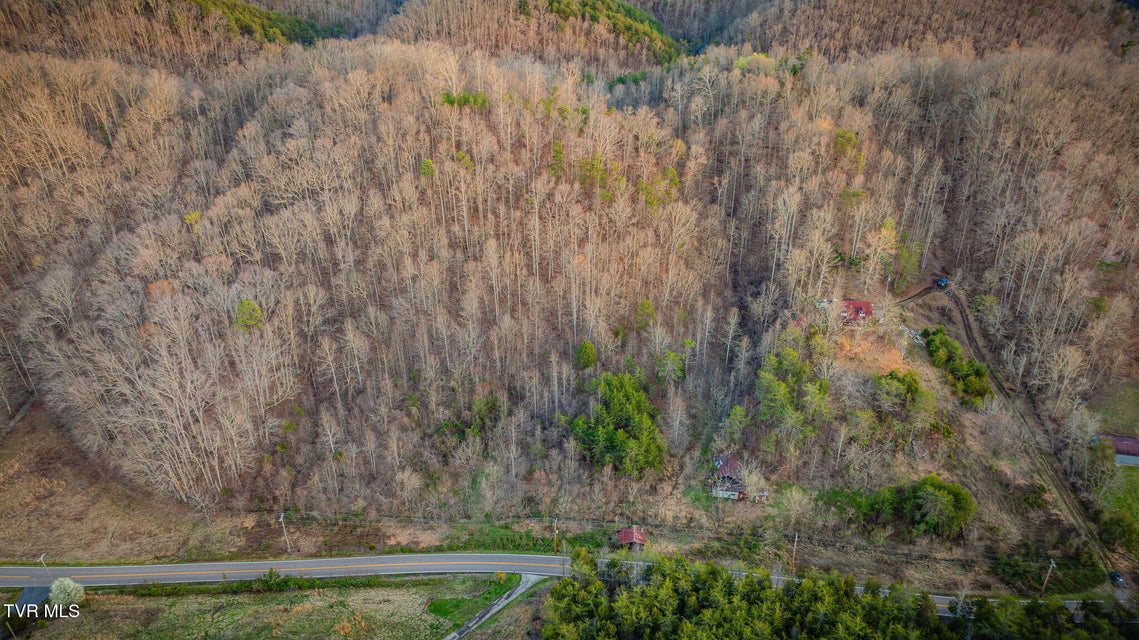 Photo #8: 000 Lone Star Road