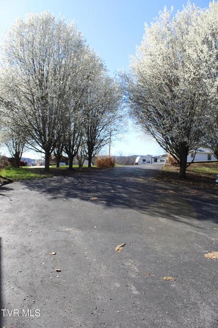 Photo #17: 158 Dryden Heights Drive