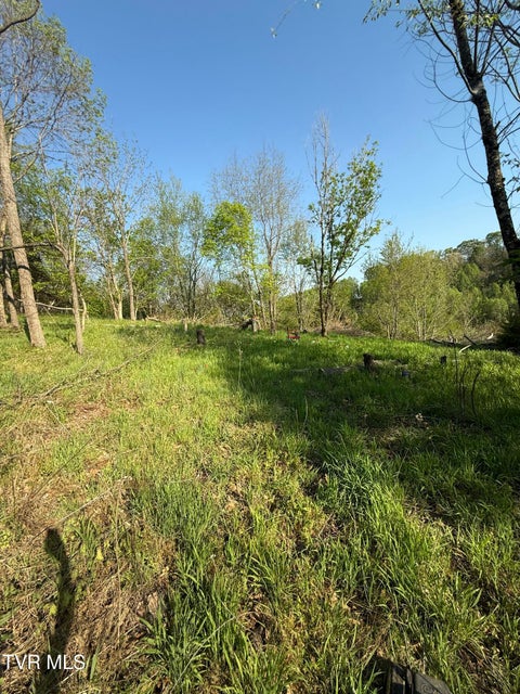 Photo #8: Tr 3 Charles Johnson Road