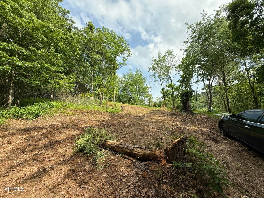 Photo #9: Tr 3 Charles Johnson Road