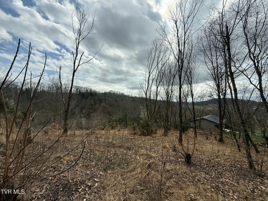 Photo #5: Tr 3 Charles Johnson Road