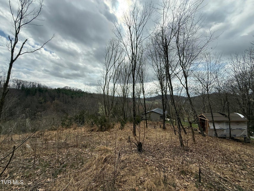 Photo #10: Tr 3 Charles Johnson Road