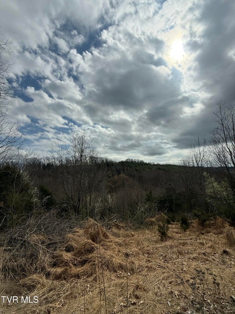 Photo #11: Tr 3 Charles Johnson Road