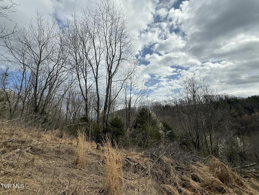 Photo #12: Tr 3 Charles Johnson Road